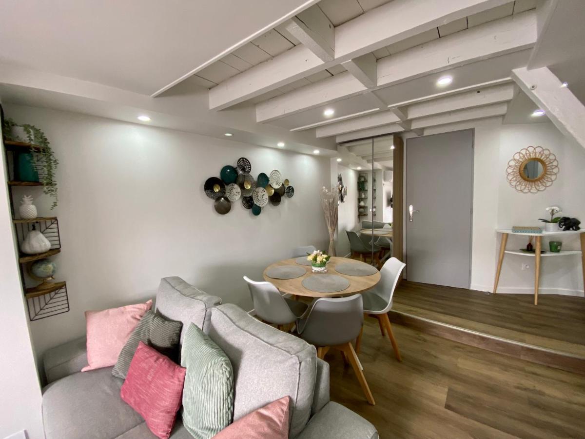 Comfortable Air-Conditioned T3 In The Heart Of Amboise With Parking Space Exterior foto