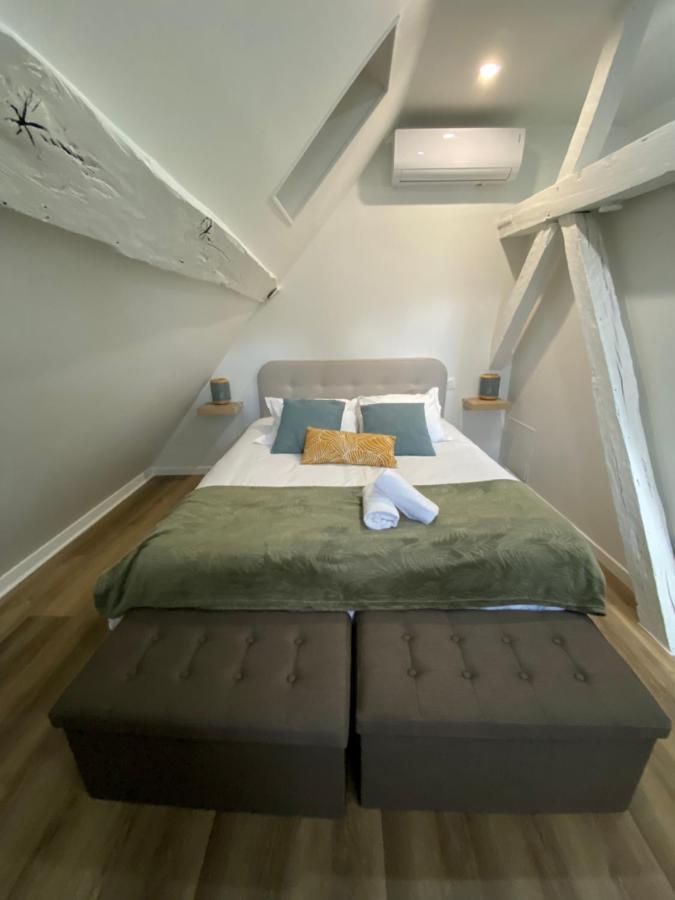Comfortable Air-Conditioned T3 In The Heart Of Amboise With Parking Space Exterior foto