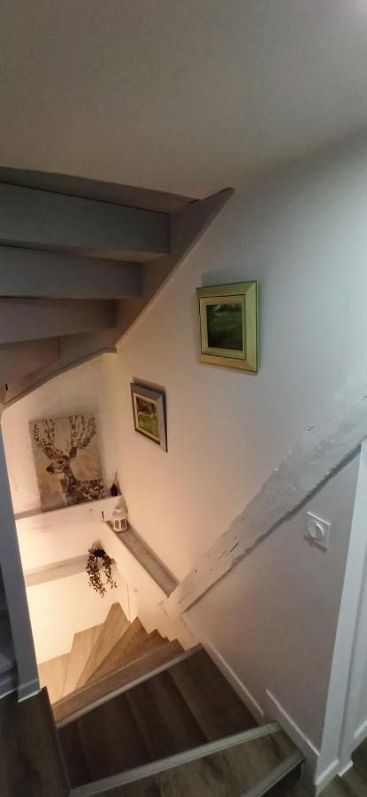 Comfortable Air-Conditioned T3 In The Heart Of Amboise With Parking Space Exterior foto